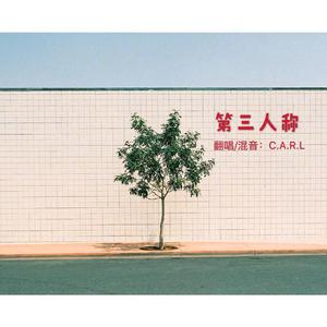 第三人称