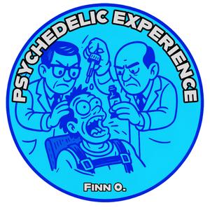 Psychedelic Experience