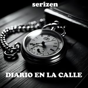 DIARIO EN LA CALLE