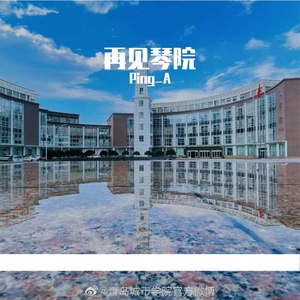 再见琴院