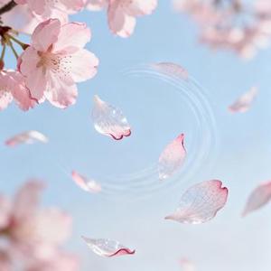 当初的爱情匆匆走过 除了伤口没留下什么