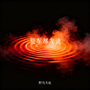 整车都发烫