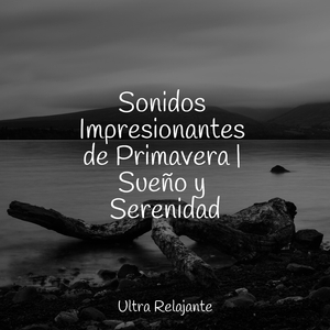 Recuerdos De Verano