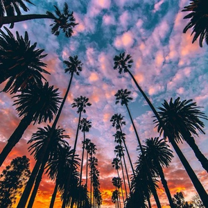 SOMEBODY (CRIMSON CREW VOL 2)