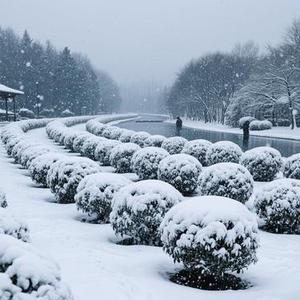 这一别是永远 (Cover 江远兮)