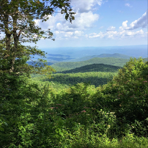 For the Beauty of the Earth / Fairest Lord Jesus