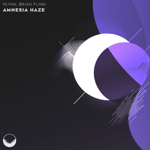 Amnesia Haze (Extended Mix)