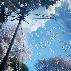 我心匪石不可转