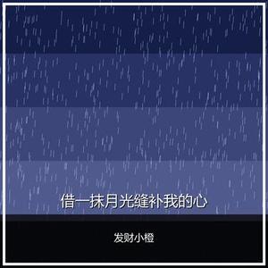 借一抹月光缝补我的心