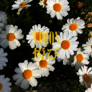 NEO CHAKRA (feat. BOIL RHYME & S.K)