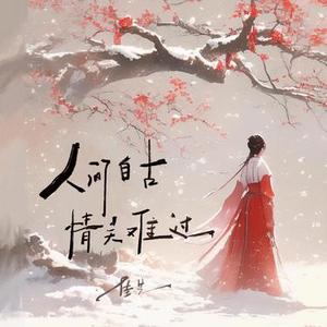 人间自古情关难过 (DJ舞曲)