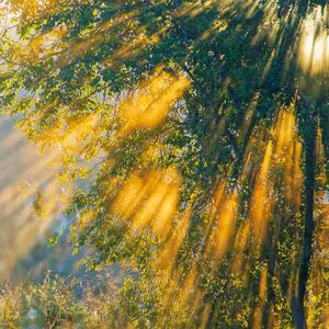 红颜未老心先死