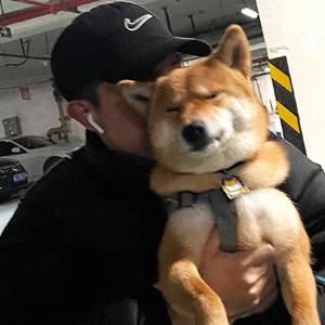 亦是此间少年demo