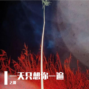 一天只想你一遍