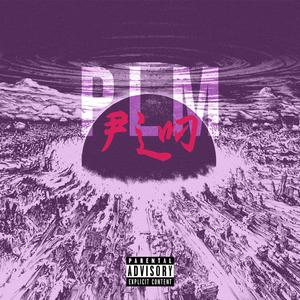 P.L.M (SpeedUp)