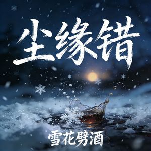 尘缘错