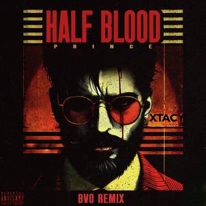 Half Blood Prince (BVO Remix)