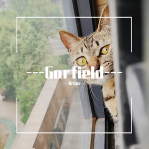 ---Garfield--- (Prod by.房间里的大象)