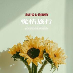 爱情旅行