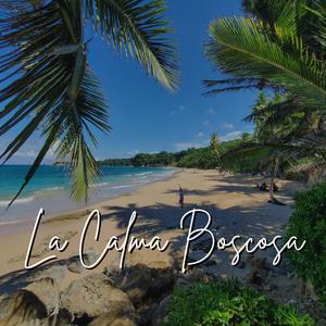 Модтой тайван