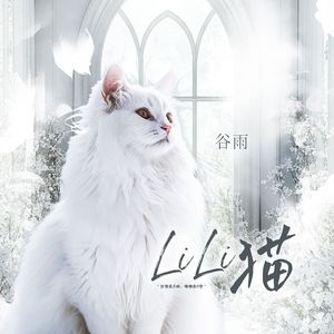 LiLi猫 伴奏