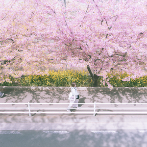 卒業のアリア