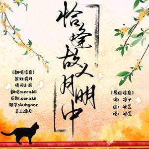 恰逢故人月明中