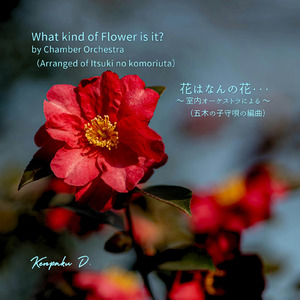 花はなんの花・・・ (室内オーケストラによる) [五木の子守唄の編曲]