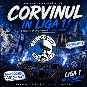 Hai Corvinul Hunedoara (Liga 1)
