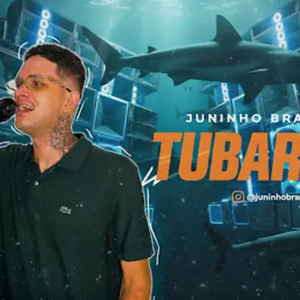 TUBARÕES