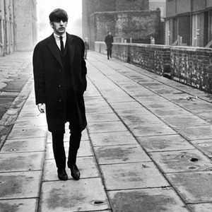 红玫瑰（翻自 陈奕迅）