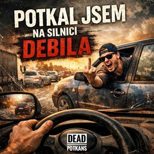 Potkal jsem na silnici debila