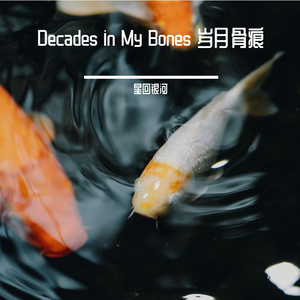 《Decades in My Bones (岁月骨痕)》