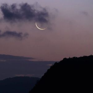 夜晚的灯（小提琴）