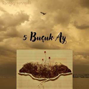 5 Buçuk Ay