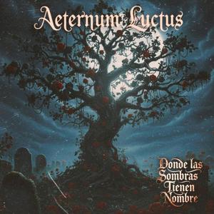 El Niño y La Luz (El Silencio del Sol - PT2)