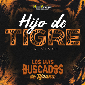 El Gordo Mambo (En Vivo)