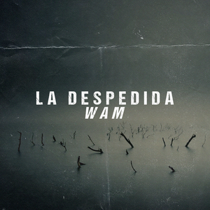 La Despedida