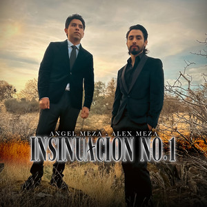 Insinuación No.1