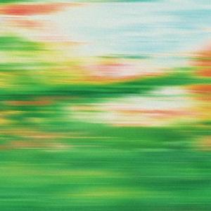 春日来信（Spring Letter）