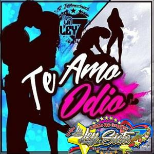 Te Amo y Odio