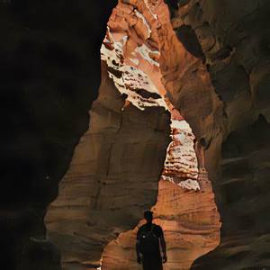 Unaffecting Unpoetic