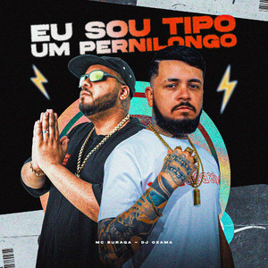 Eu Sou Tipo um Pernilongo