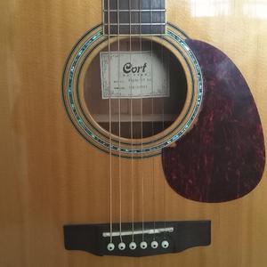 无言之夜（静谧版）