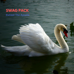 Swag Pack