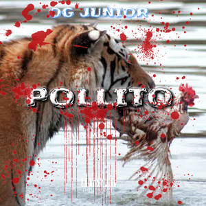 Pollito