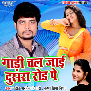 Gadi Chal Jai Dusra Road Pe