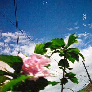 [FREE]"velvet sky" bossa nova Type Beat