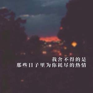 为你耗尽了所有