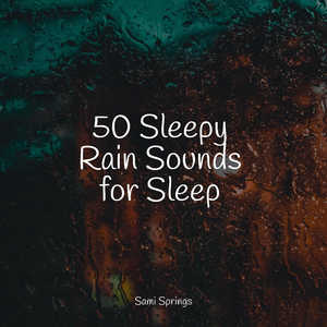 Rain, Vegetation, Wood, Heavy Wind